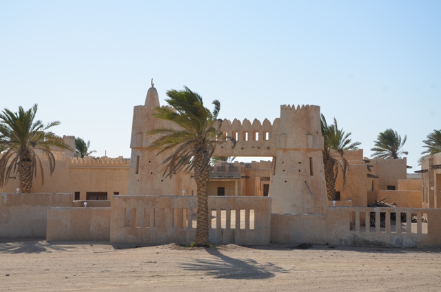 Sortie dans le desert Qataris en 2012 Dsc_3017
