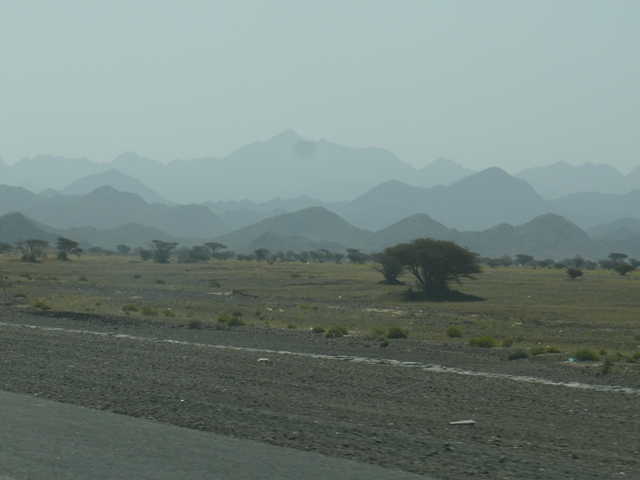 Sortie dans le désert de Dubaï et Oman en 2010 P1020512