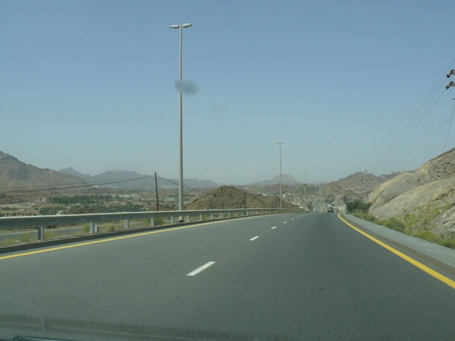 Sortie dans le désert de Dubaï et Oman en 2010 P1020515