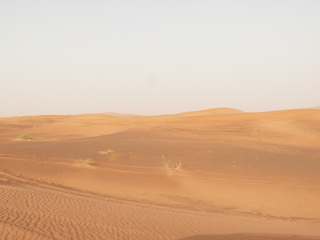 Sortie dans le désert de Dubaï et Oman en 2010 P1020918