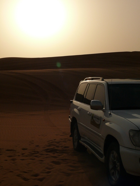 Sortie dans le désert de Dubaï et Oman en 2010 P1020926