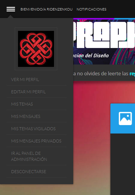 Nuevo Skin en Graphix Captur11