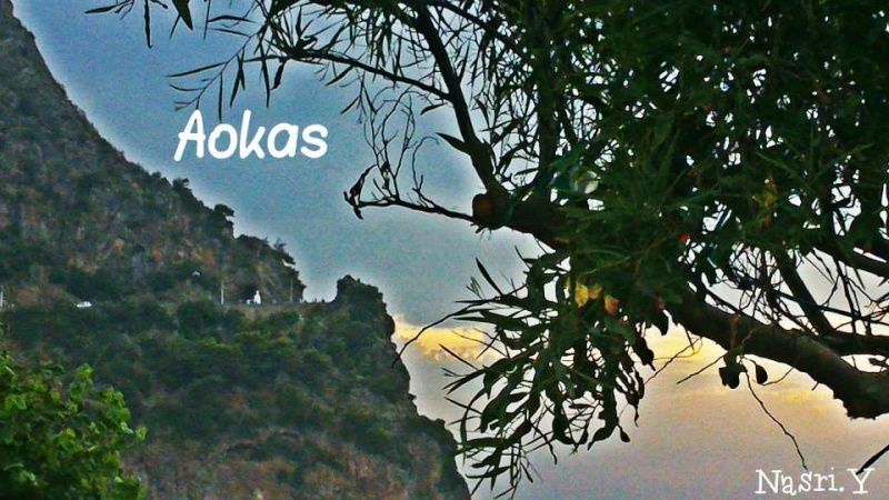 AOKAS BEST PLACE TO LIVE! - Page 4 11748710