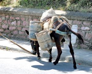 le sort réserve à la kabylie qui a libéré l’Algérie! Kabyli15