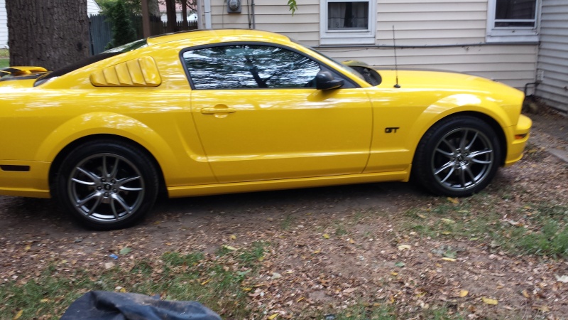 My Yellow GT Carrim11