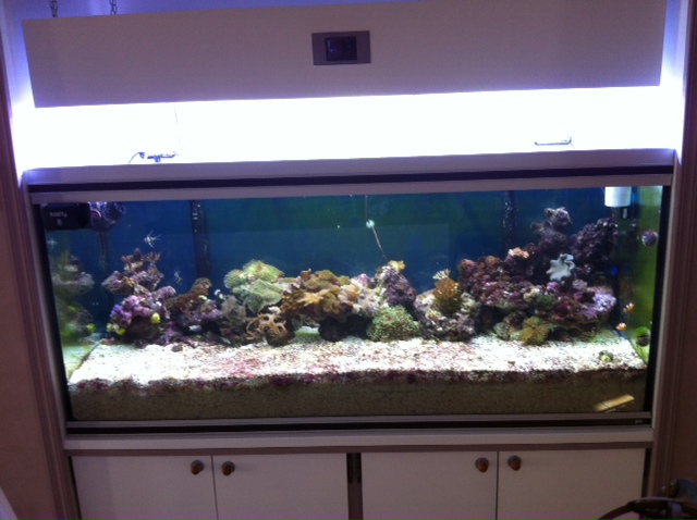 Projet Aqua 450 litres avec ARDUINO - Page 4 1310