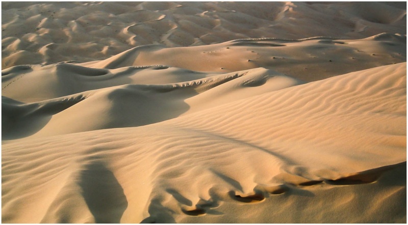 Le grand désert au petit matin 107_0712