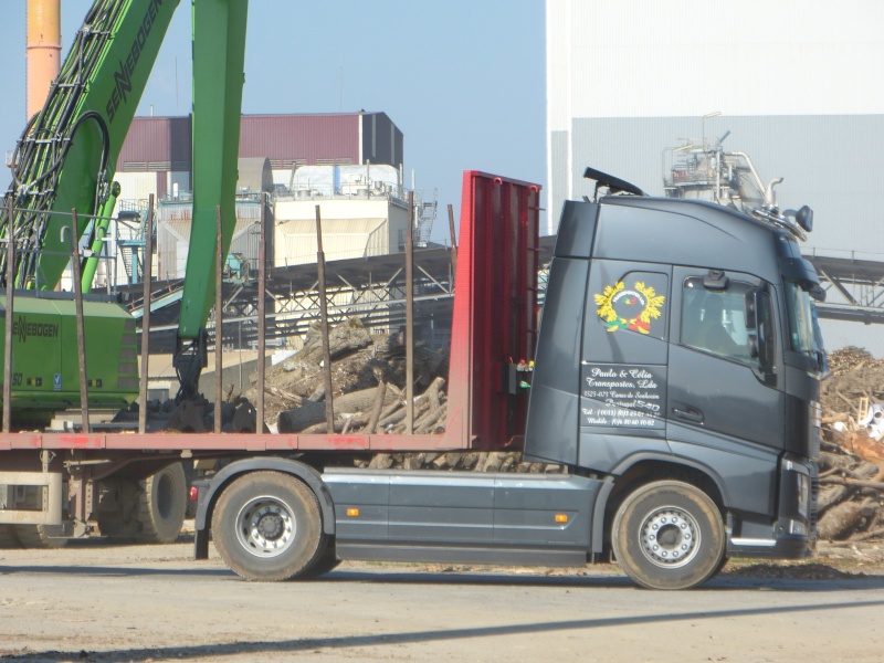 Transportes Paulo & Celia (Canas de Sanhorim) P1050469