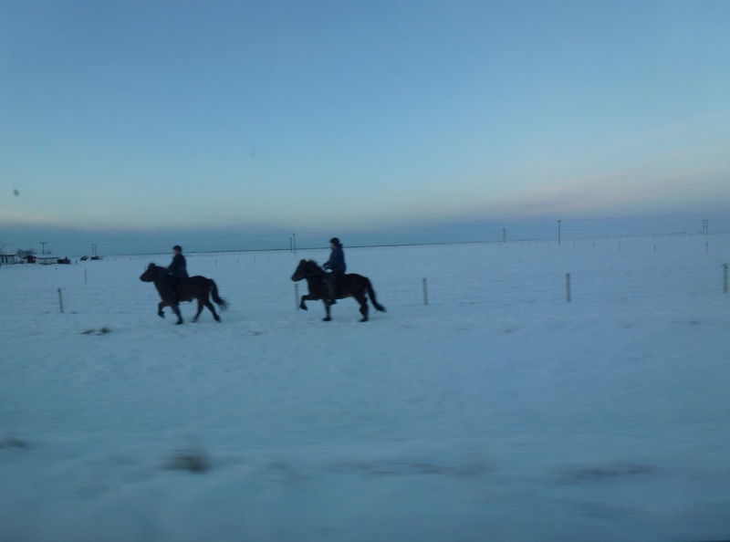 Islande, un jour, une photo - Page 5 P1070214