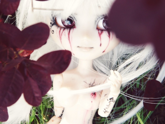 [Pullip FC & Pullip Mir]  Young Wolf 2014-015