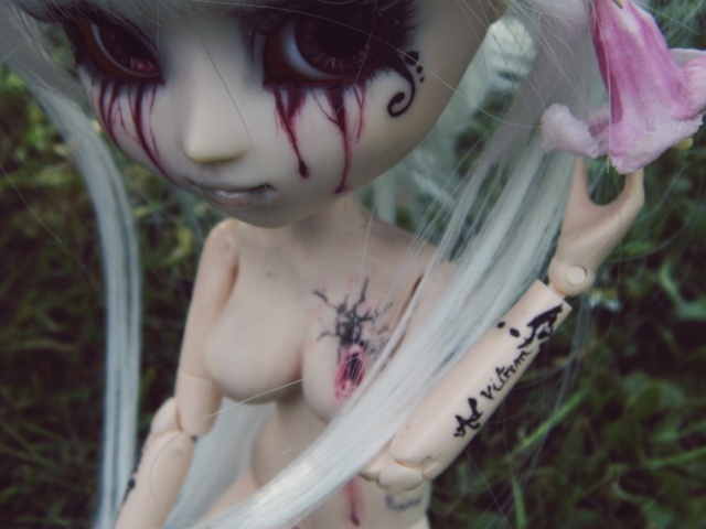 [Pullip FC & Pullip Mir]  Young Wolf 2014-018