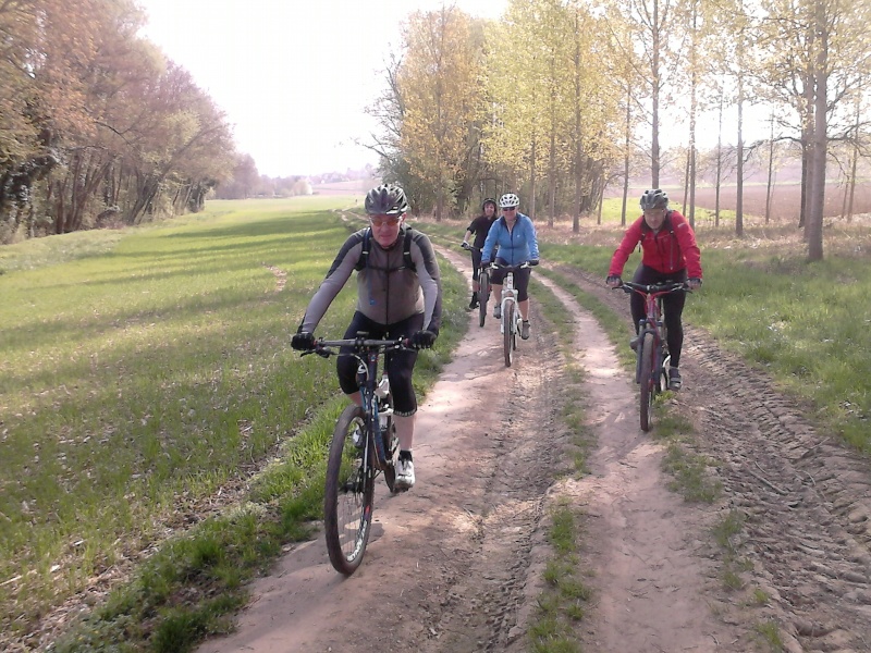 VTT Accueil à la Jumenterie Dsc_0414