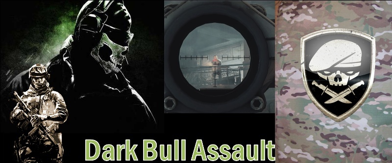 Dark Bull Assault