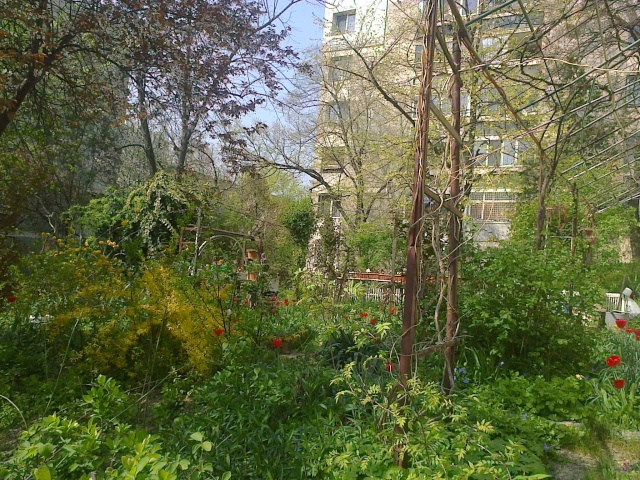 un beau jardin d'un immeuble de Bucarest Le_jar10