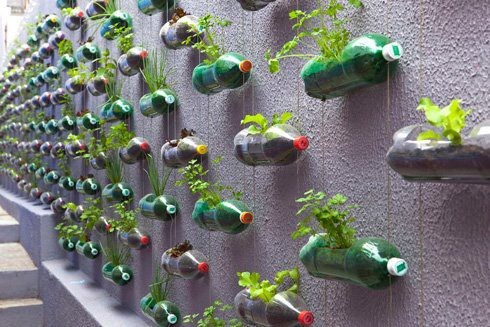 Le jardin vertical. Créer un mur végétal. Recicl10