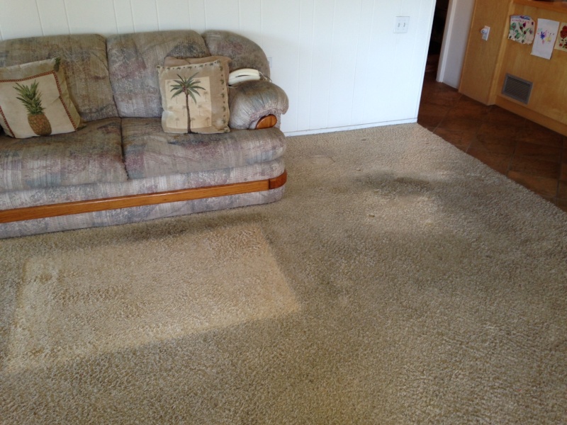 The Best of Trashed Carpet - Page 4 Photo124