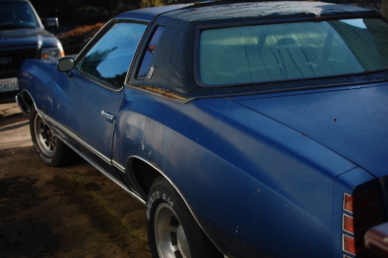 My 75 Monte carlo  Photo12