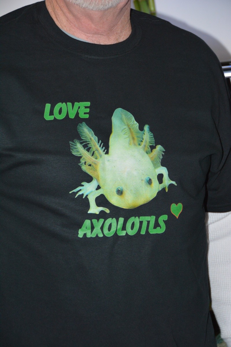 Fishy Arts and Crafts! Axolot10