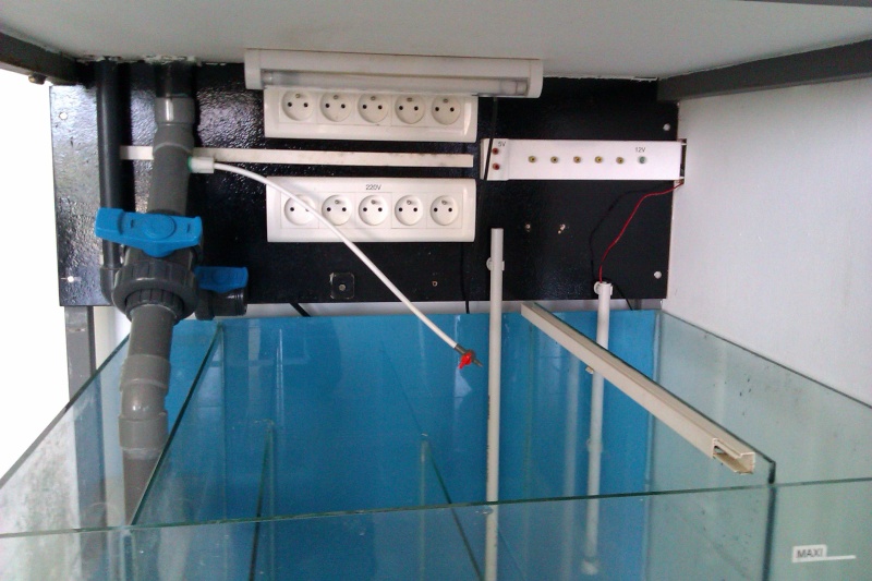 Projet Bac récifal de 350L Imag0310