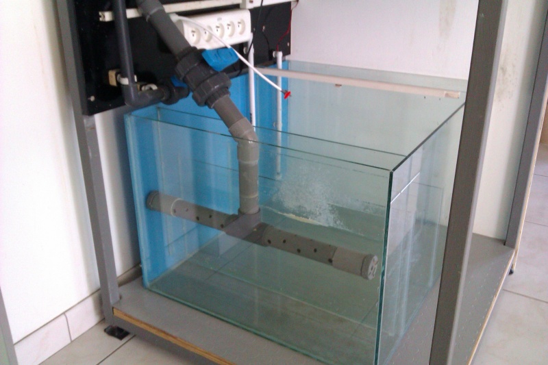 Projet Bac récifal de 350L Imag0311