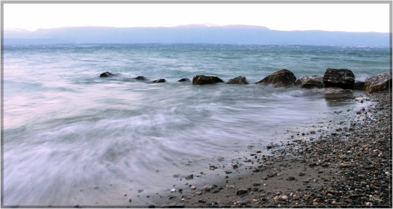 bord du Lac LEMAN Img_3711