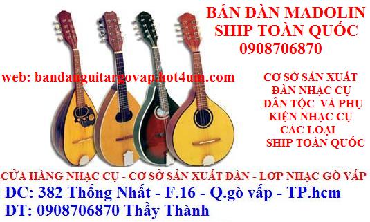 bán đàn guitar sửa đàn guitar phụ kiện guitar Danmad10