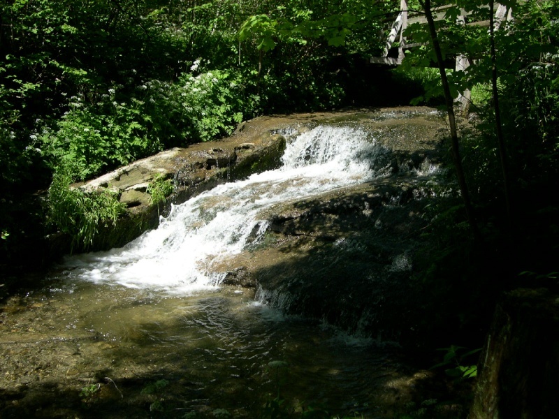 La Louve Rivière depuis 2006 sait nous surprendre entre... Le_flo10