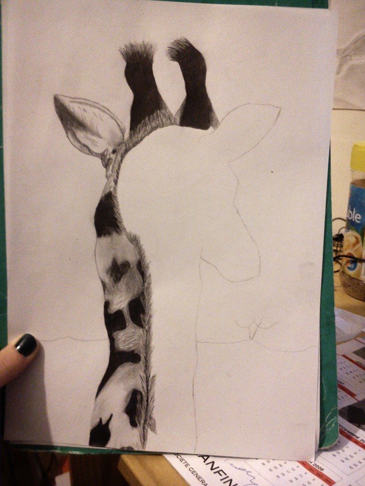 Une Girafe 417