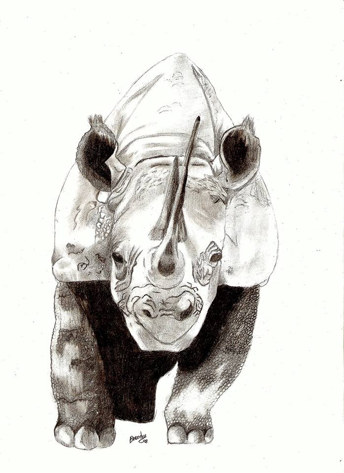Carnet de DBrenda :) Rhinoc13