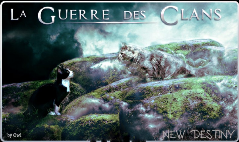 La Guerre des Clans NEW DESTINY