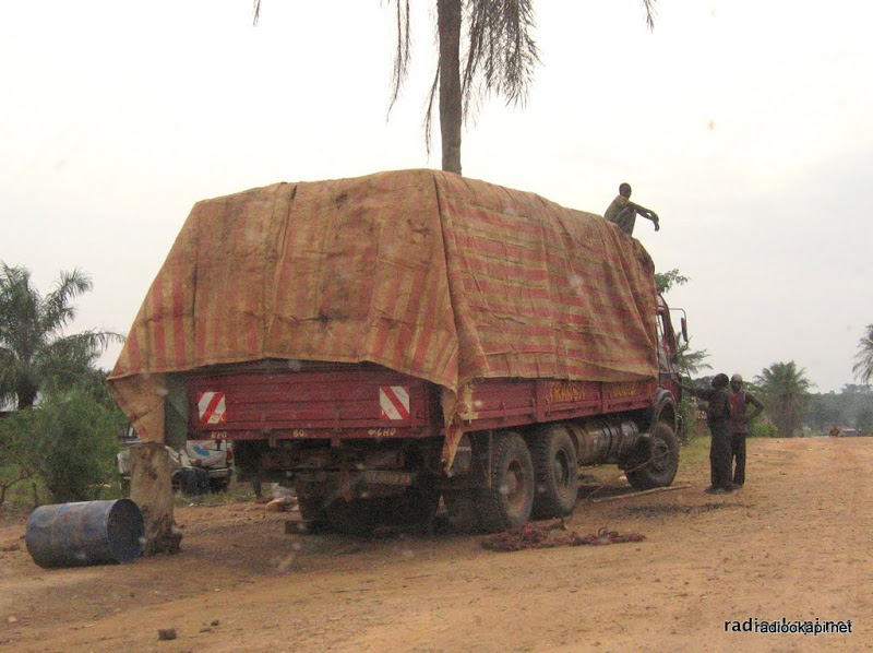   Province Orientale: saisie du bois illégal appartenant à des Somaliens à Watsa Somali10