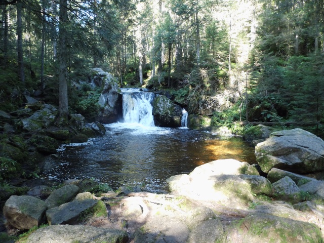 SCHWARZWALD 22/09/2013 Dsci0311