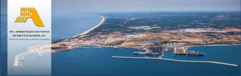 Administração do Porto de Sines e dos Portos de Algarve a sua estrutura Aps10