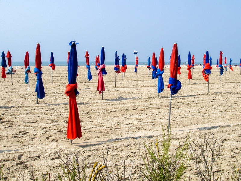 ABECEDAIRE  de P      parasol sur la plage de Dauville Dsc08611