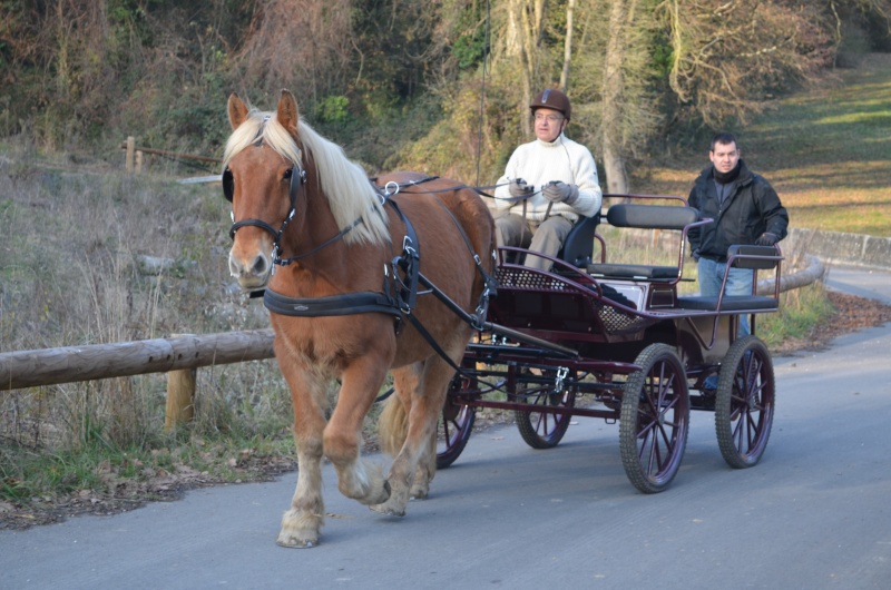 Valseur et Jean-Louis MOULEYRE Dsc_1111