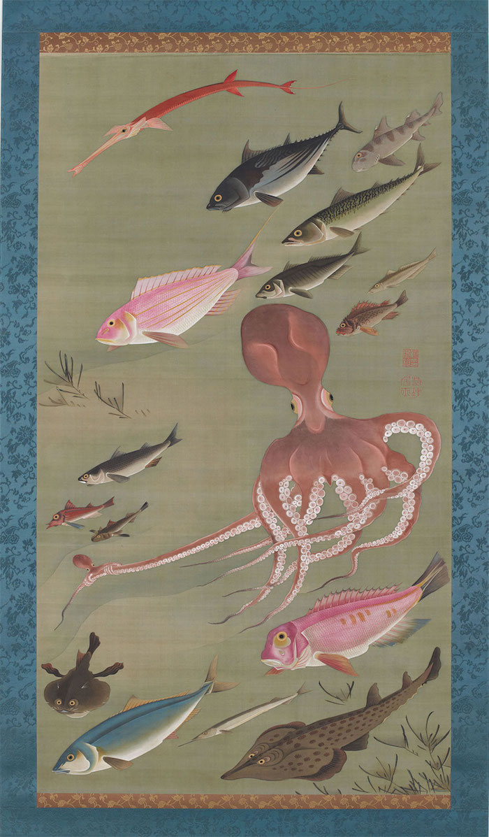 Exposition : Jakuchū (1716-1800), le Royaume coloré des êtres vivants 27_fis10