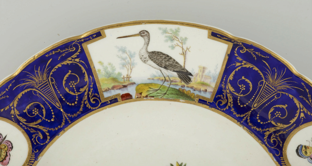 Les " Services aux oiseaux Buffon " des manufactures de porcelaine de Sèvres et Tournai 52962210