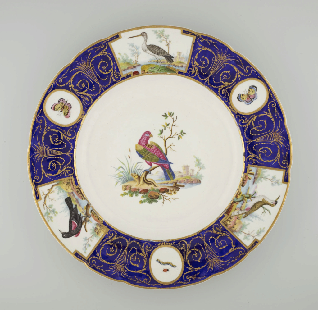 Les " Services aux oiseaux Buffon " des manufactures de porcelaine de Sèvres et Tournai 52962810