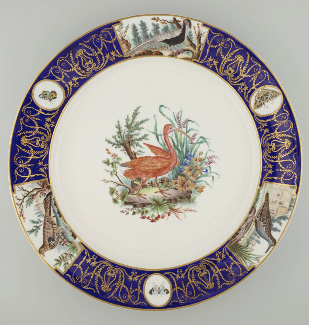 Les " Services aux oiseaux Buffon " des manufactures de porcelaine de Sèvres et Tournai 52964410