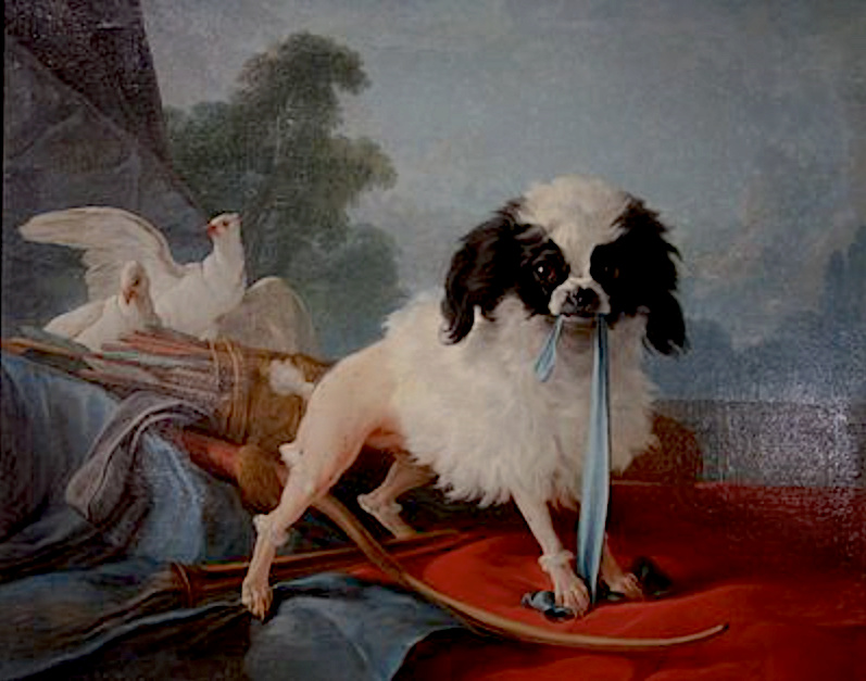 Les chiens de Marie Antoinette - Page 5 Capt1369