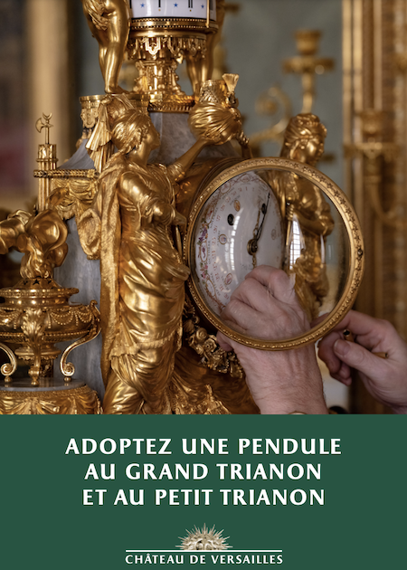 Pendules et horloges de Marie-Antoinette - Page 4 Capt4614