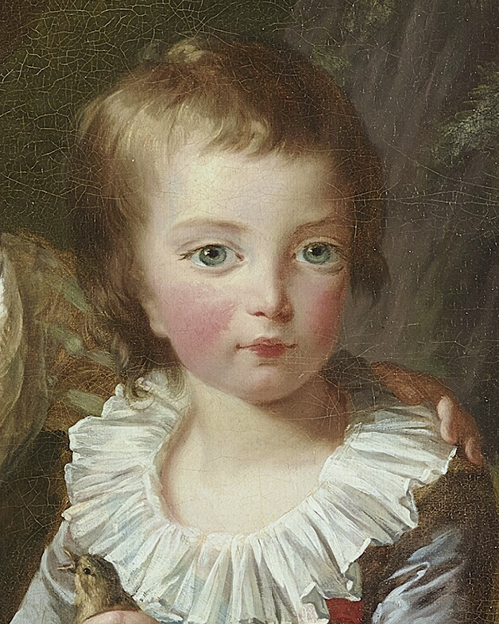 naissance - Louis-Joseph de France (1781-1789), premier dauphin Captu515