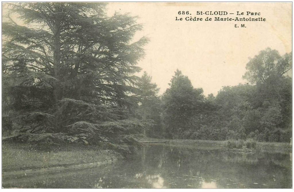 Les cèdres de Marie-Antoinette, jardin du Trocadéro, parc de Saint-Cloud Carte-10