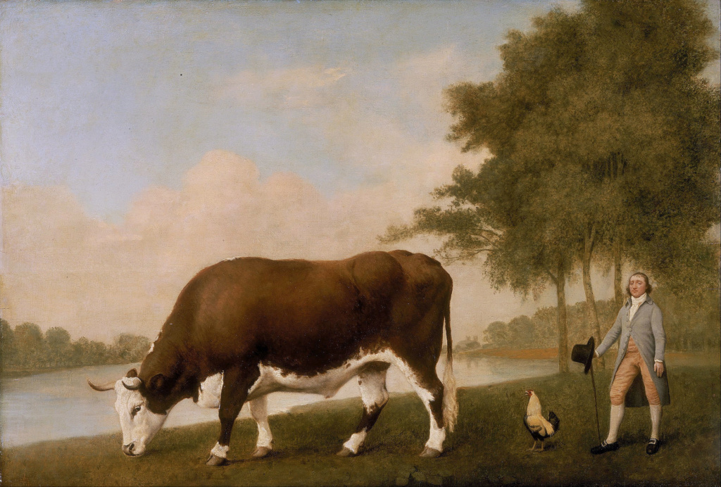 George Stubbs : artiste peintre et anatomiste.  George19