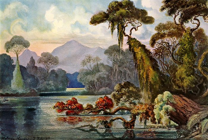 Isabel Godin des Odonais (1728-1792), la survivante de l'Amazonie Haecke10