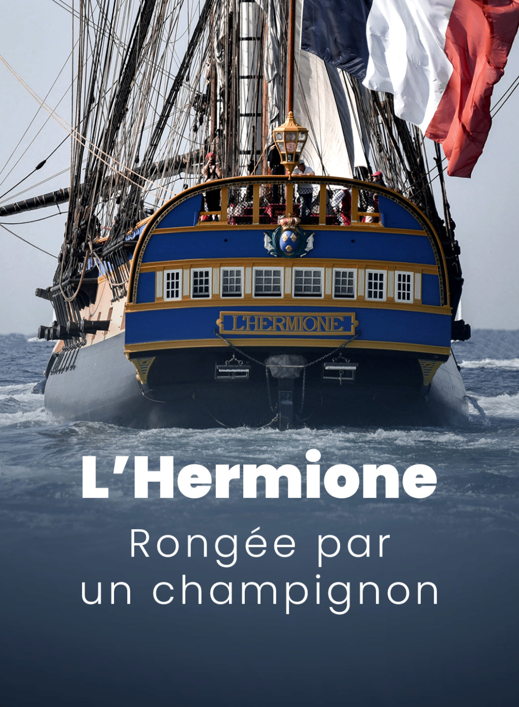La Fayette et la frégate L'Hermione - Page 6 Hermio10