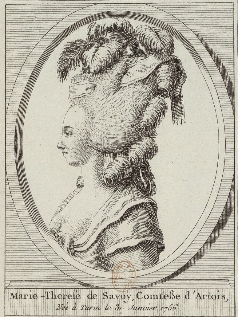 artois - Marie-Thérèse de Savoie, comtesse d'Artois - Page 3 Recuei78