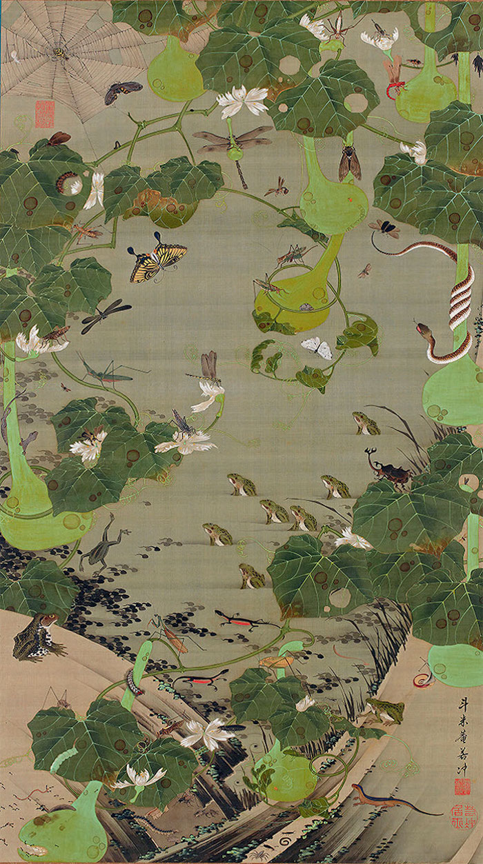 Exposition : Jakuchū (1716-1800), le Royaume coloré des êtres vivants Xxiii_10