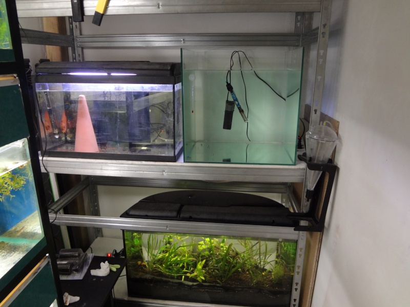 A vendre 2 aquariums 63 L et 90 L Dsc05918