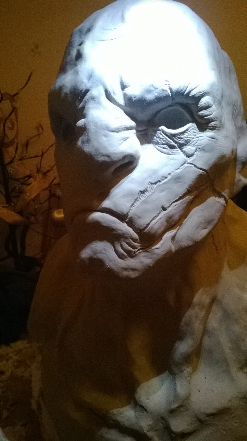 Mon buste d'Azog Wp_20128